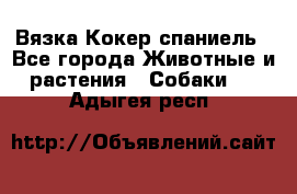 Вязка Кокер спаниель - Все города Животные и растения » Собаки   . Адыгея респ.